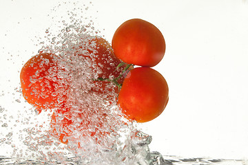 Image showing Tomato In The Water