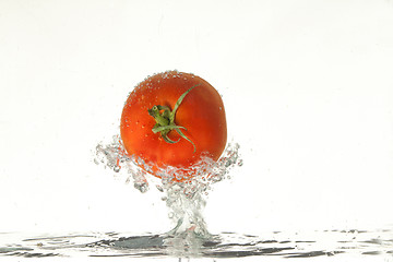 Image showing Tomato In The Water