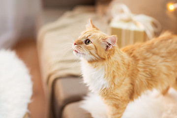 Image showing red tabby cat on sofa with christmas gift at home