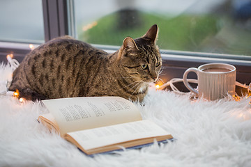 Image showing tabby cat lying on window sill with book at home