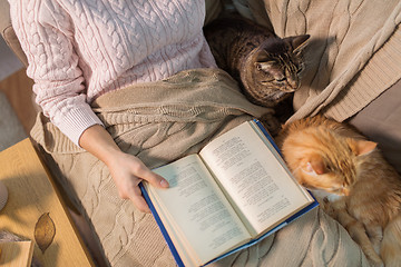 Image showing red and tabby and owner reading book at home