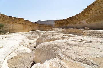 Image showing Israeli desert travel