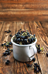 Image showing black currant