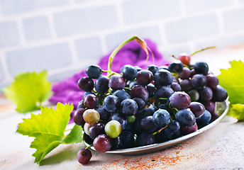 Image showing grape