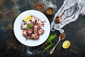 Image showing fried octopus 
