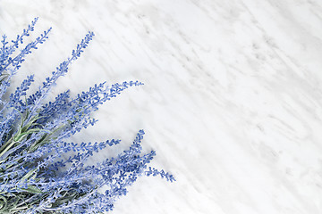 Image showing Blooming lavender on marble background with copy space