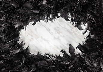 Image showing Black feather frame on marble background