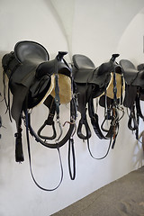 Image showing Leather saddle horse, retro style