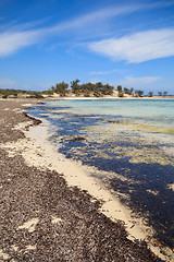 Image showing beach in Madagascar, Antsiranana, Diego Suarez