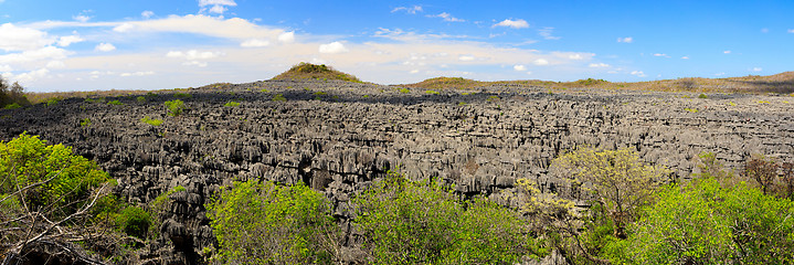 Image showing Tsingy rock formations in Ankarana, Madagascar