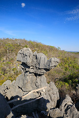 Image showing Tsingy rock formations in Ankarana, Madagascar