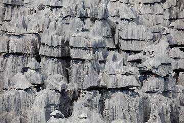 Image showing Tsingy rock formations in Ankarana, Madagascar