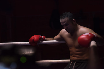 Image showing kick boxer resting on the ropes in the corner