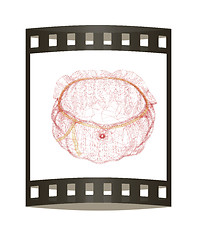 Image showing Bag on a white background. 3D illustration. The film strip.