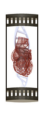 Image showing DNA and heart medical concept. 3d illustration. The film strip.