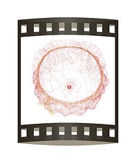 Image showing Bag on a white background. 3D illustration. The film strip.