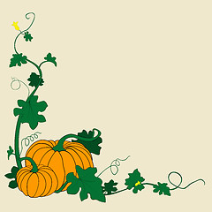 Image showing pumpkins