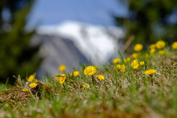 Image showing Landscape Garmisch-Partenkirchen