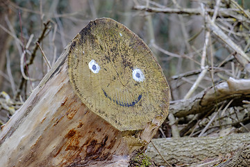 Image showing Smiling face on logs