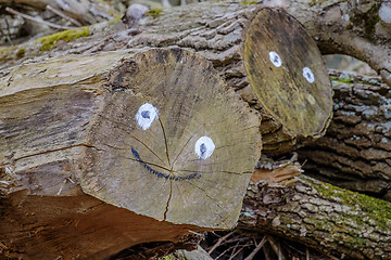 Image showing Smiling face on logs