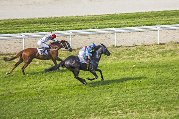 Image showing Galloping race horses and jockeys in racing competition