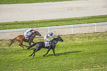 Image showing Galloping race horses and jockeys in racing competition