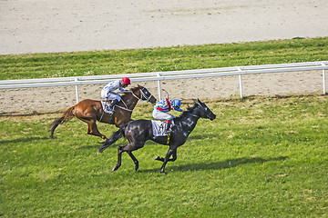 Image showing Galloping race horses and jockeys in racing competition