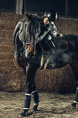 Image showing Image of happy female sitting on purebred horse