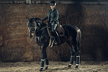 Image showing Image of happy female sitting on purebred horse