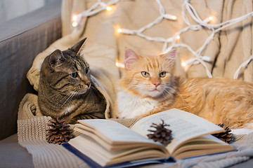 Image showing two cats lying on sofa with book at home