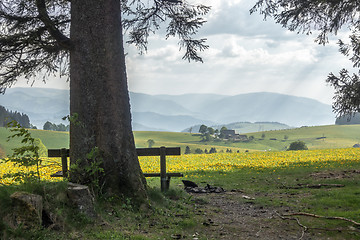 Image showing beautiful view landscape south Germany