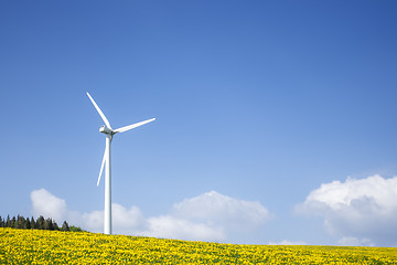 Image showing a wind energy turbine in the dandelion meadow