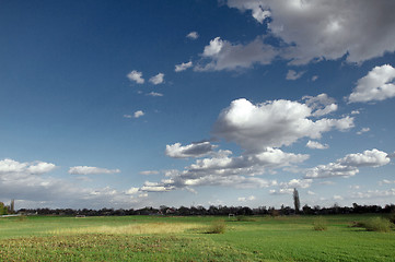Image showing Green field and blue sky