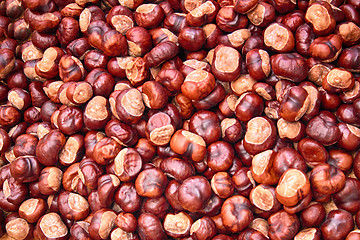 Image showing chestnuts natural background