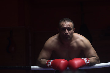 Image showing portrait of muscular professional kickboxer