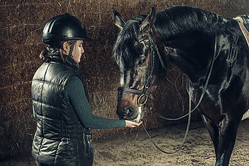 Image showing Image of happy female standing near on purebred horse