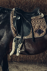 Image showing Saddle with stirrups on a back of a horse