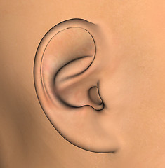 Image showing human ear illustration