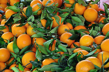 Image showing oranges fruit background