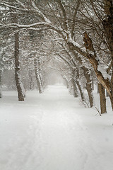 Image showing Alley in snowy morning