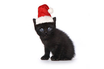 Image showing Black Kitten Wearing a Santa Hat on White