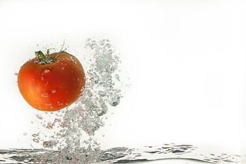 Image showing Tomato In The Water