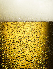 Image showing beer