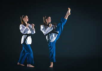 Image showing The karate girl with black belt