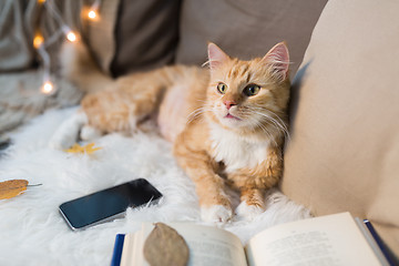 Image showing red cat lying on sofa with smartphone at home