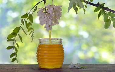 Image showing Jar of honey with flowers of acacia