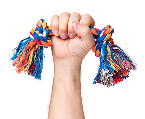 Image showing Hand with dog toy