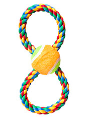 Image showing Dog toy on white