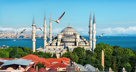 Image showing Blue Mosque in Turkey