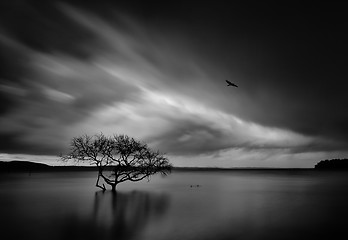 Image showing Storm over Salamander Bay